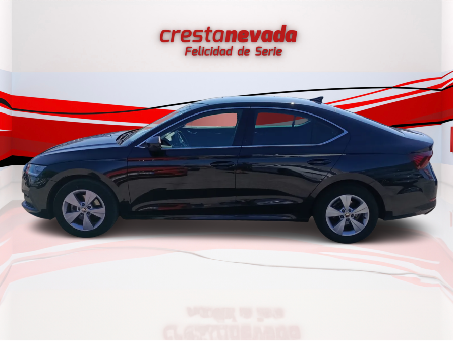 Imagen de Skoda Octavia