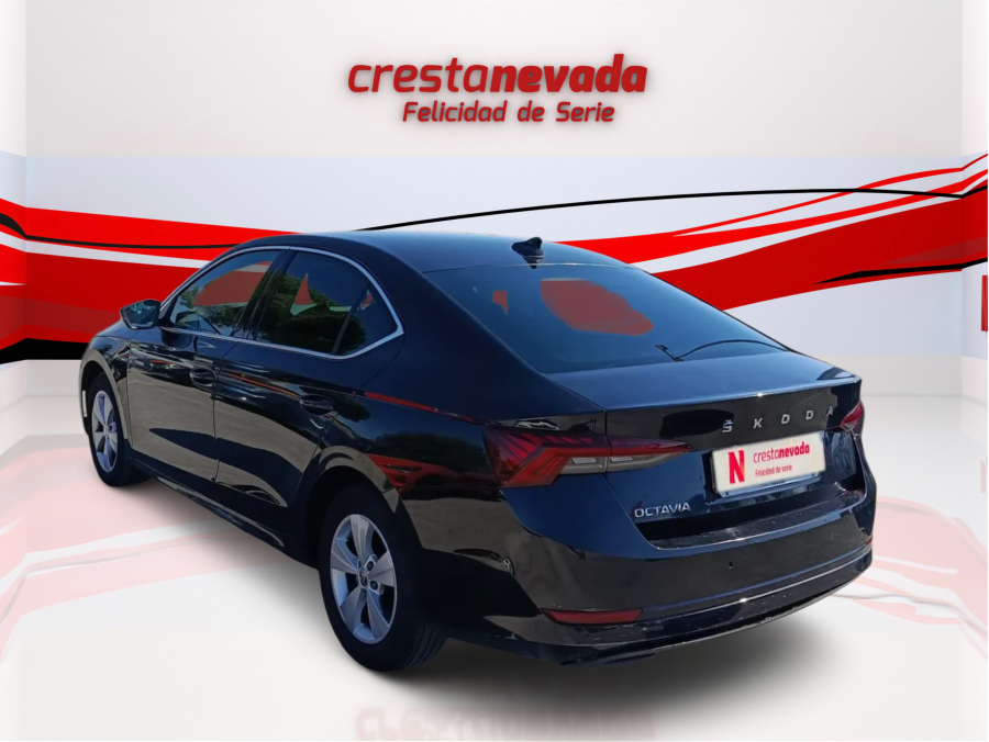 Imagen de Skoda Octavia