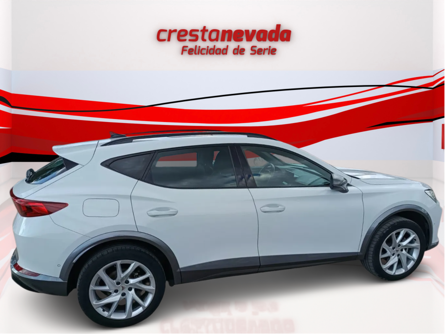 Imagen de cupra Formentor
