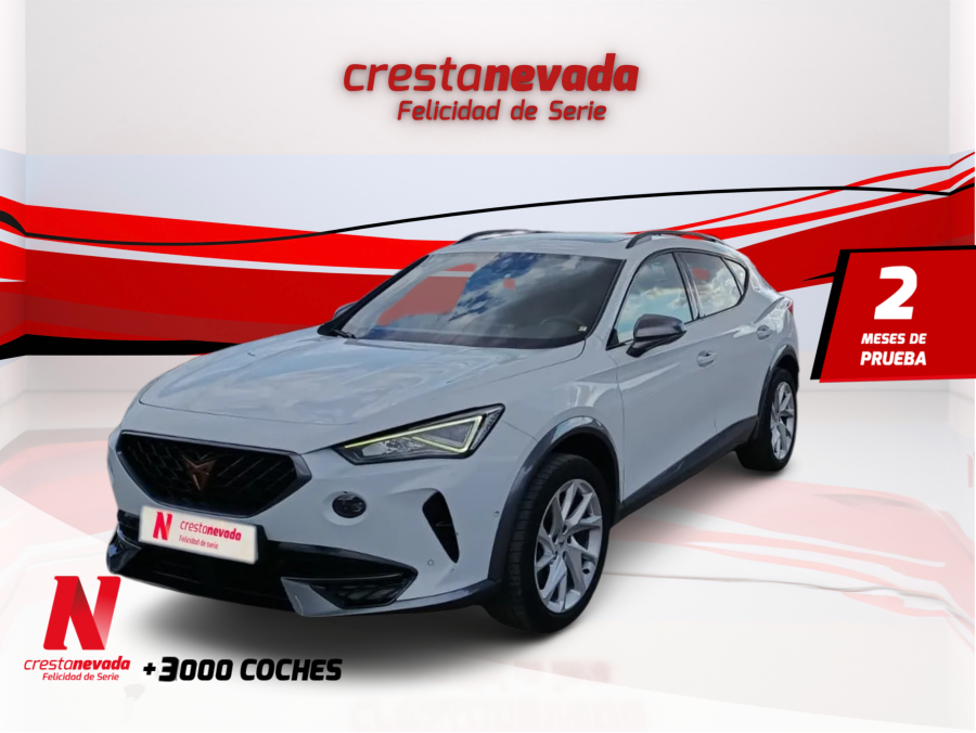 Imagen de cupra Formentor