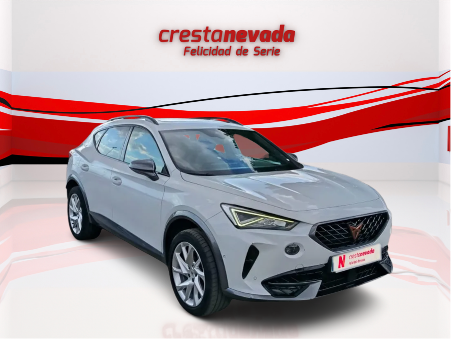 Imagen de cupra Formentor