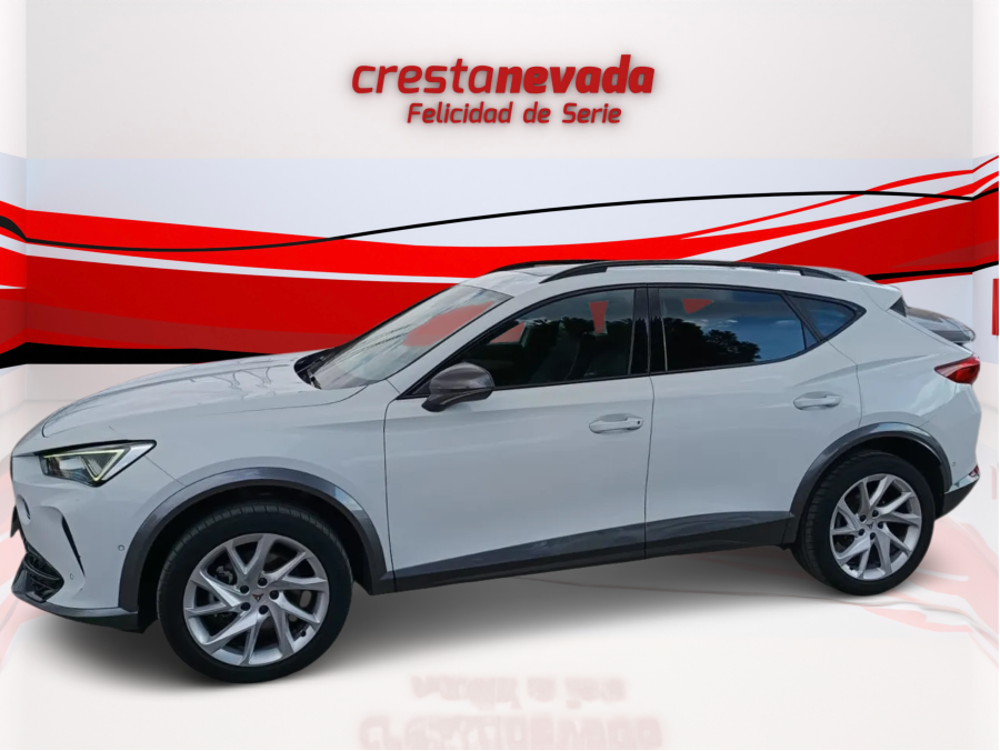 Imagen de cupra Formentor