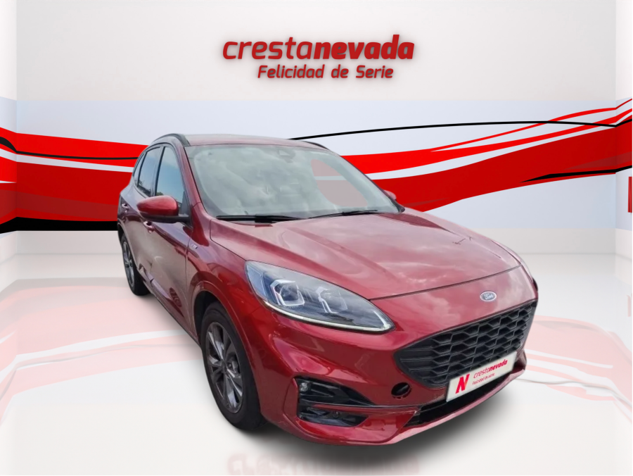 Imagen de Ford Kuga
