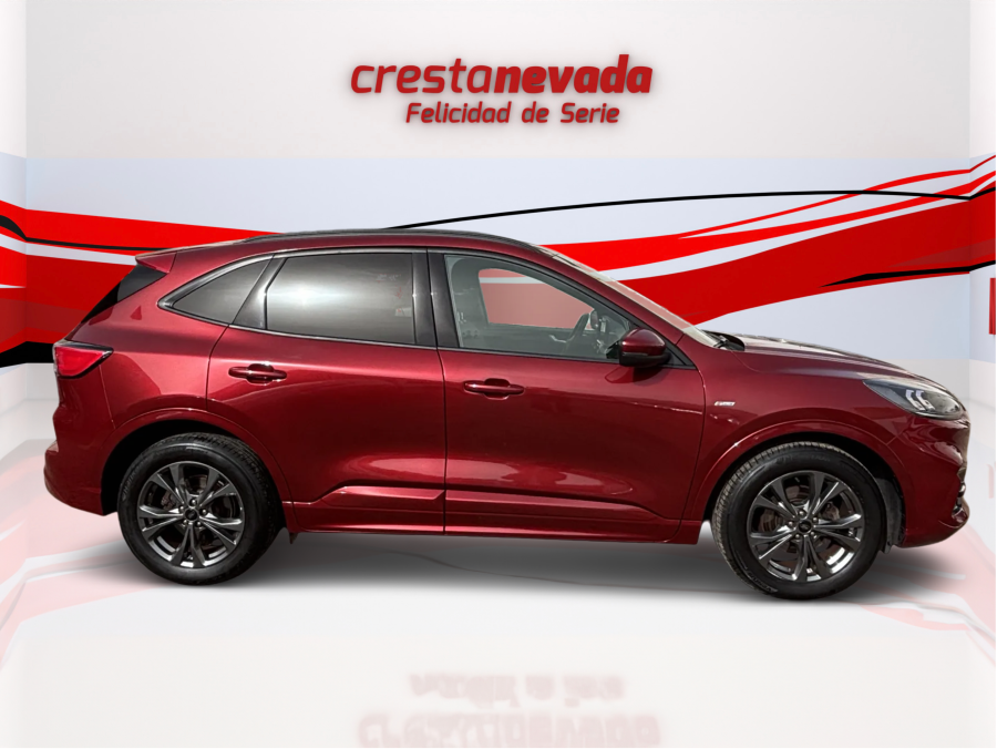 Imagen de Ford Kuga