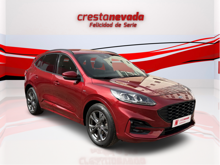 Imagen de Ford Kuga