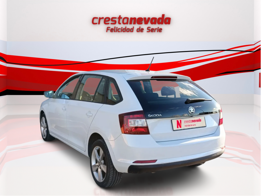 Imagen de Skoda Rapid