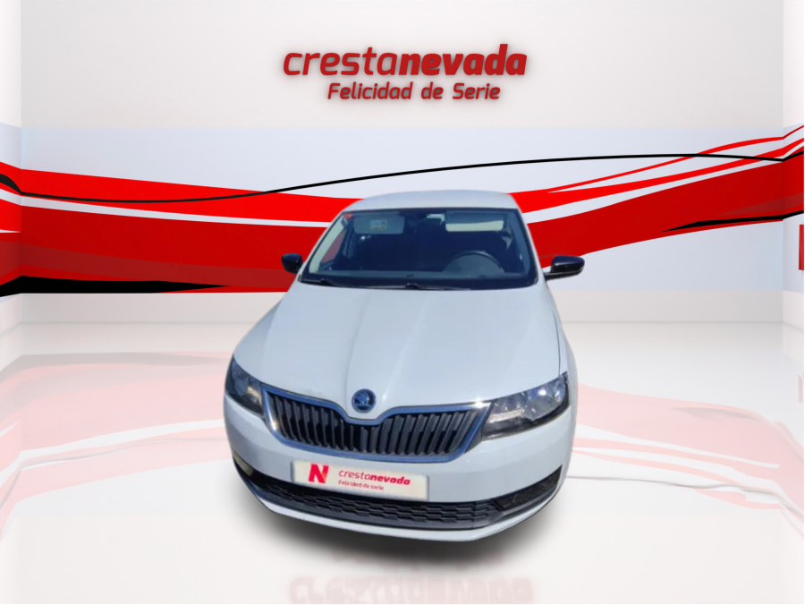 Imagen de Skoda Rapid