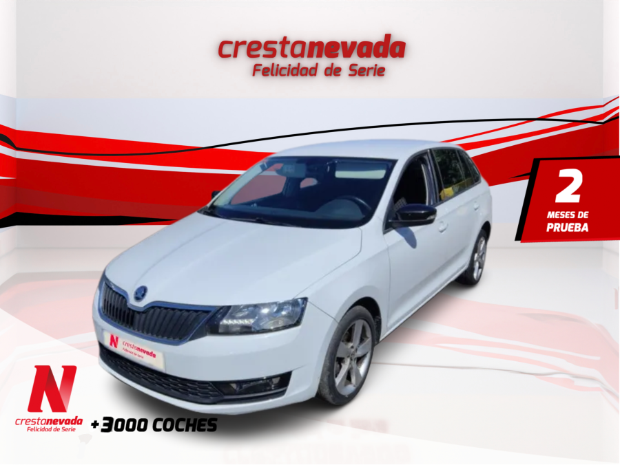 Imagen de Skoda Rapid