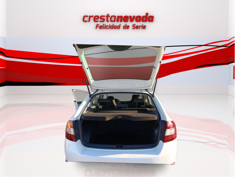 Imagen de Skoda Rapid