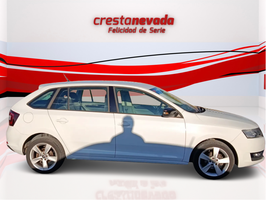 Imagen de Skoda Rapid