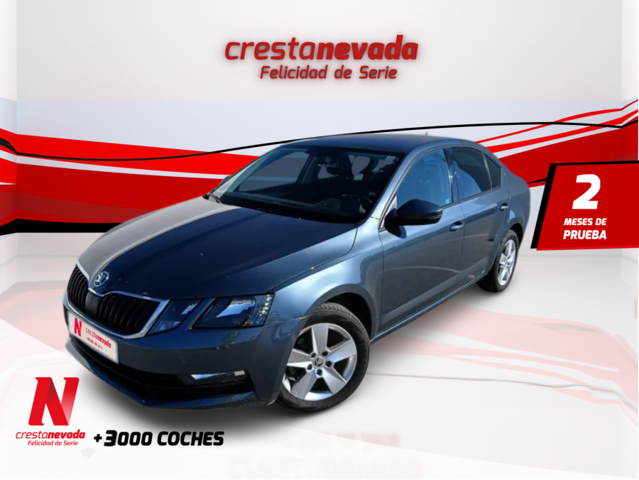 Imagen de Skoda Octavia