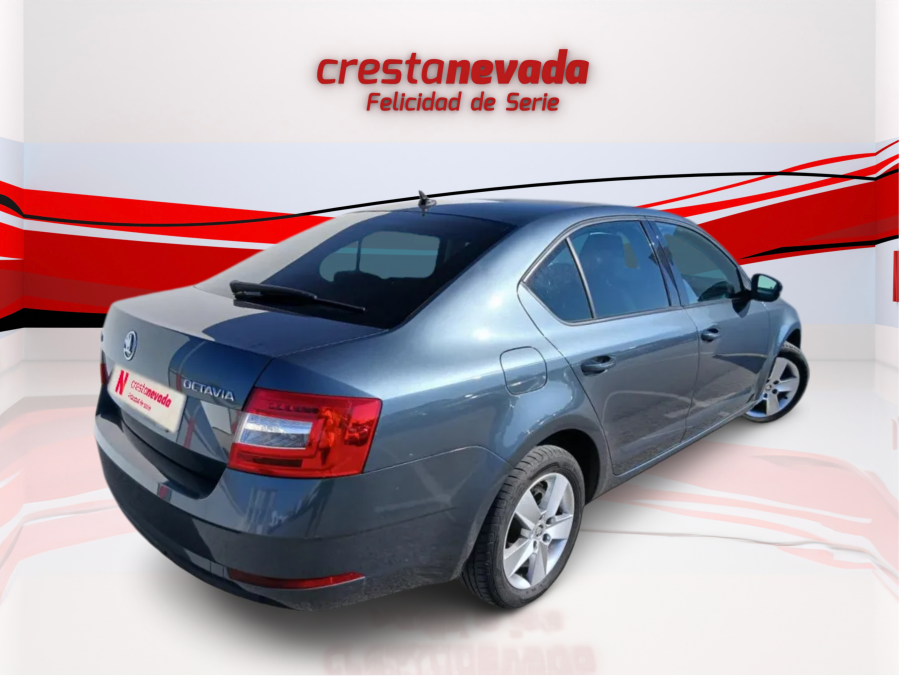 Imagen de Skoda Octavia