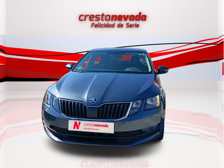 Imagen de Skoda Octavia