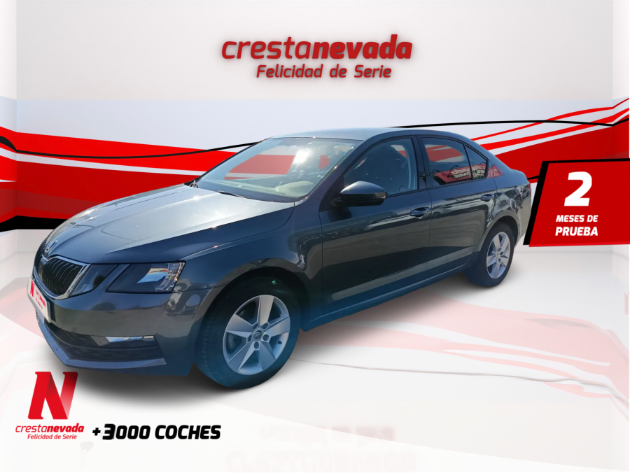 Imagen de Skoda Octavia