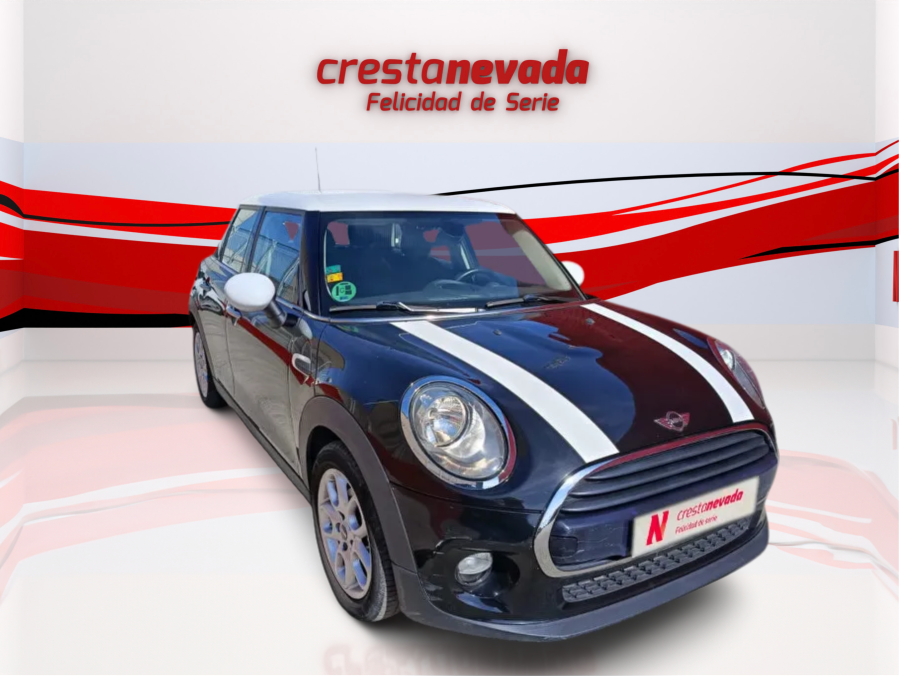 Imagen de Mini MINI