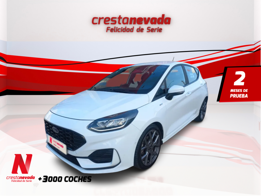 Imagen de Ford Fiesta
