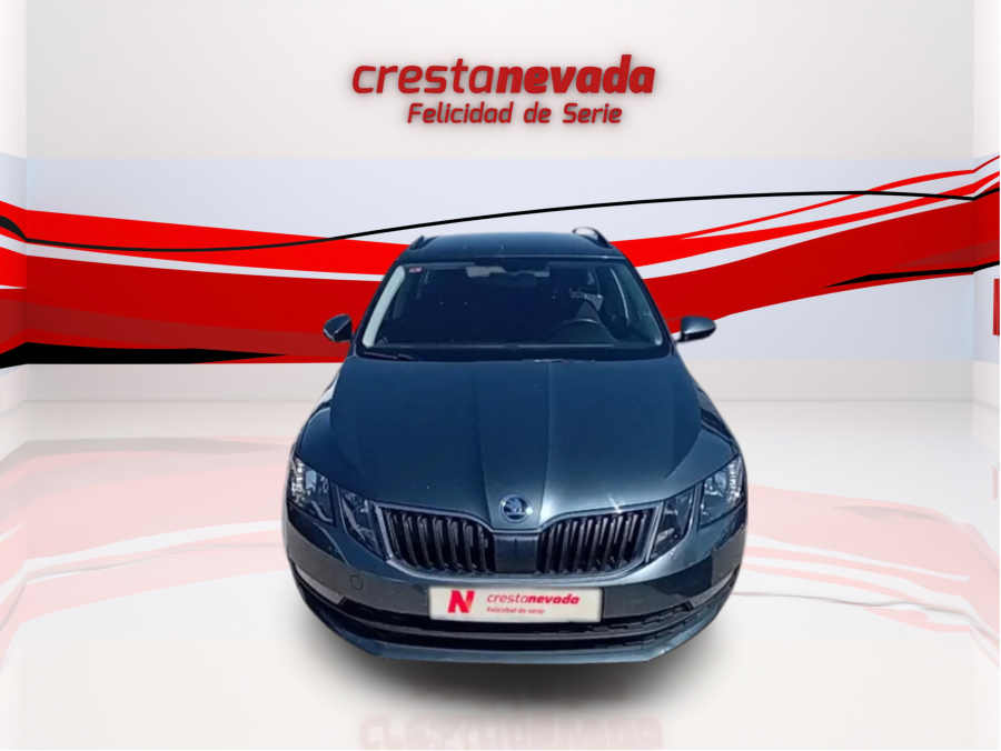 Imagen de Skoda Octavia