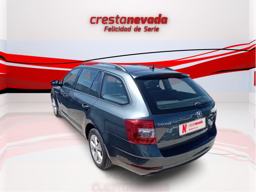Imagen de Skoda Octavia