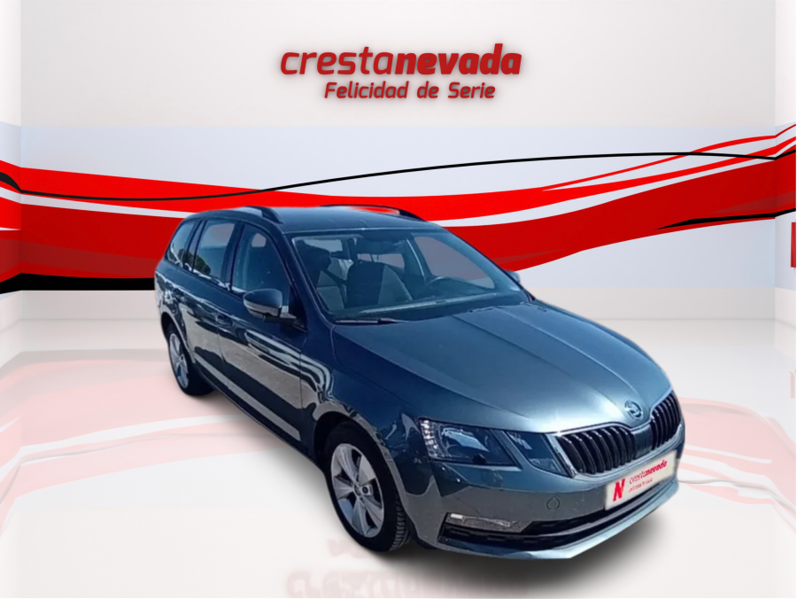 Imagen de Skoda Octavia