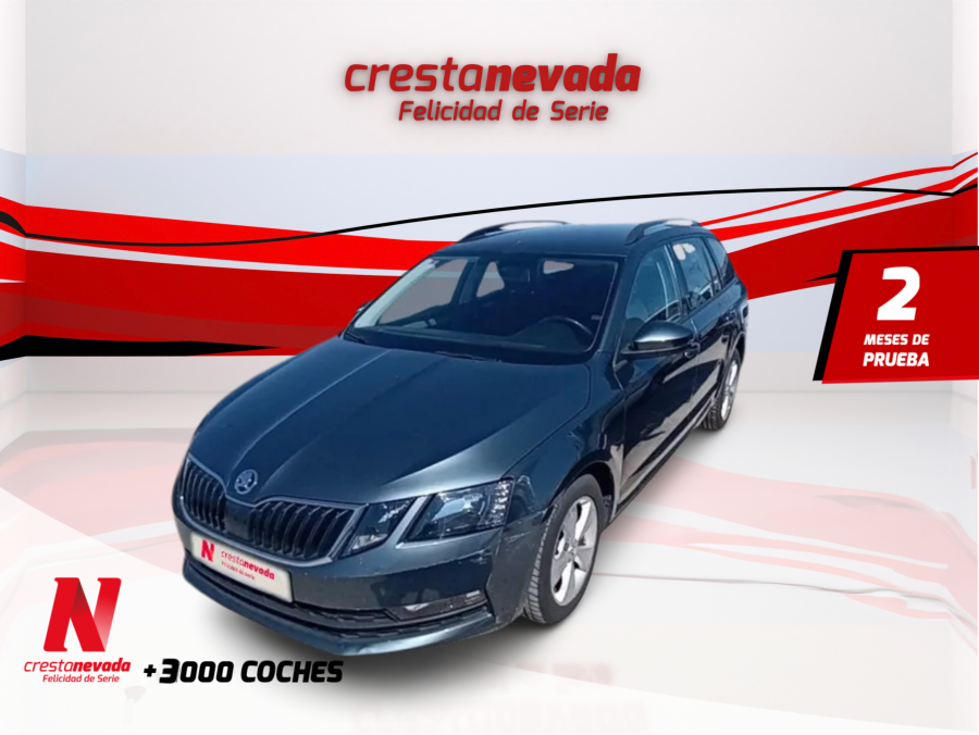 Imagen de Skoda Octavia