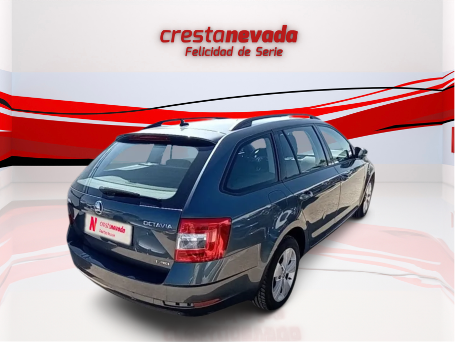 Imagen de Skoda Octavia
