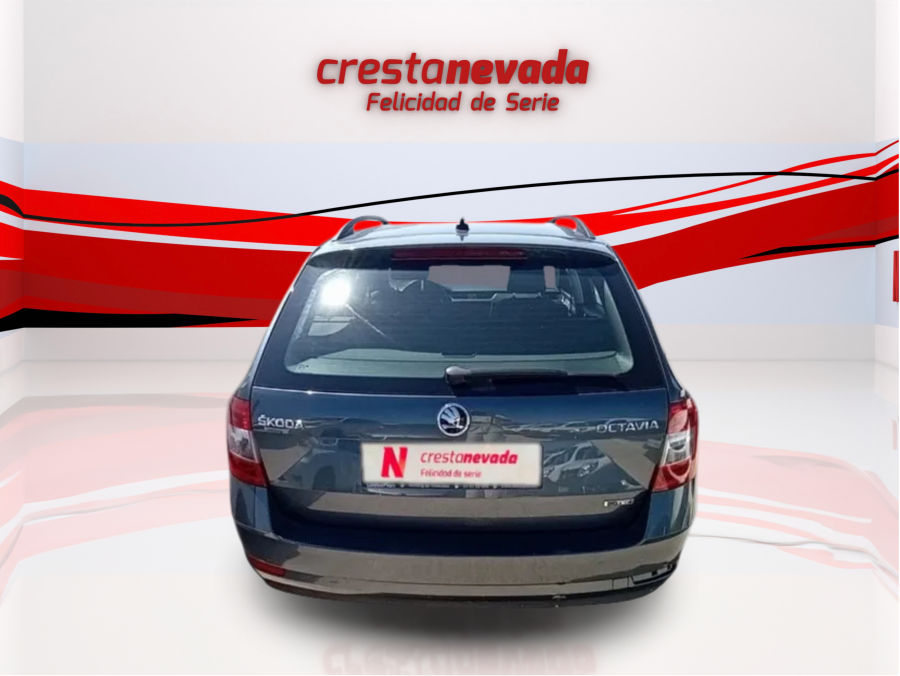 Imagen de Skoda Octavia