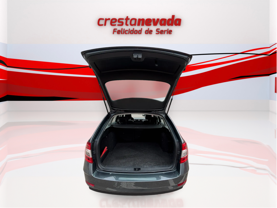 Imagen de Skoda Octavia