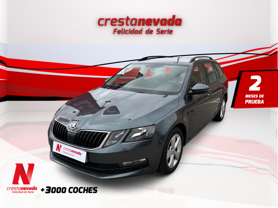 Imagen de Skoda Octavia