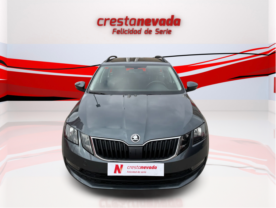 Imagen de Skoda Octavia