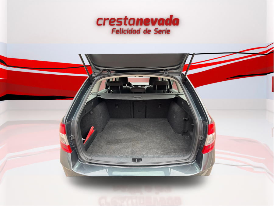 Imagen de Skoda Octavia