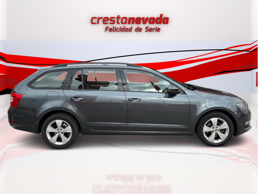 Imagen de Skoda Octavia