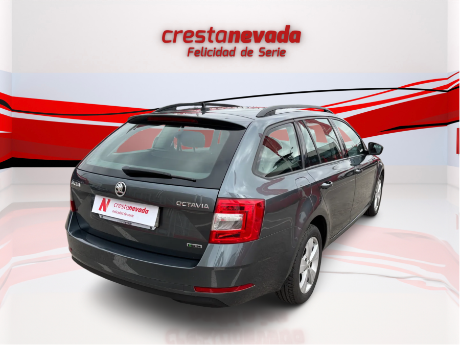 Imagen de Skoda Octavia