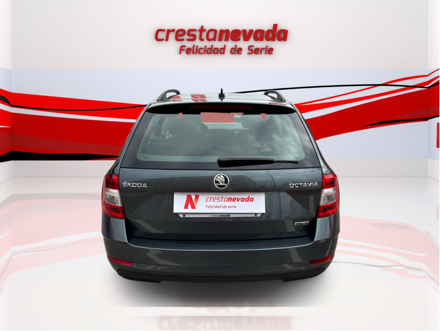 Imagen de Skoda Octavia