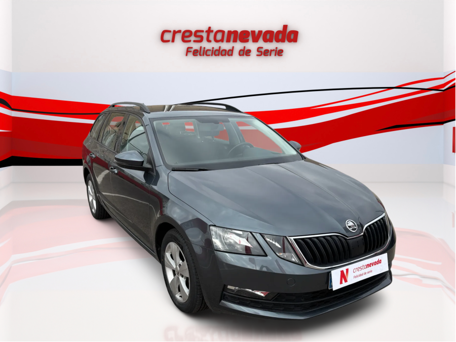 Imagen de Skoda Octavia