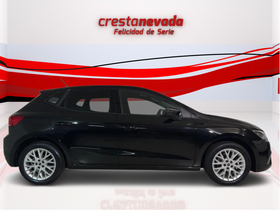 Imagen de SEAT Ibiza