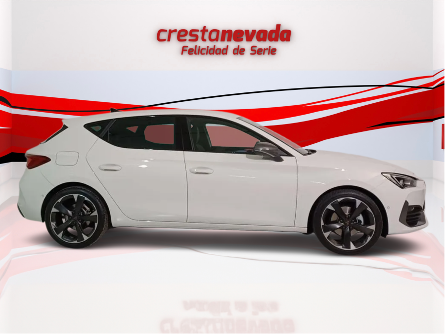 Imagen de cupra León