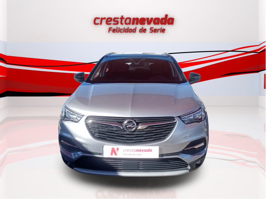 Imagen de Opel Grandland X