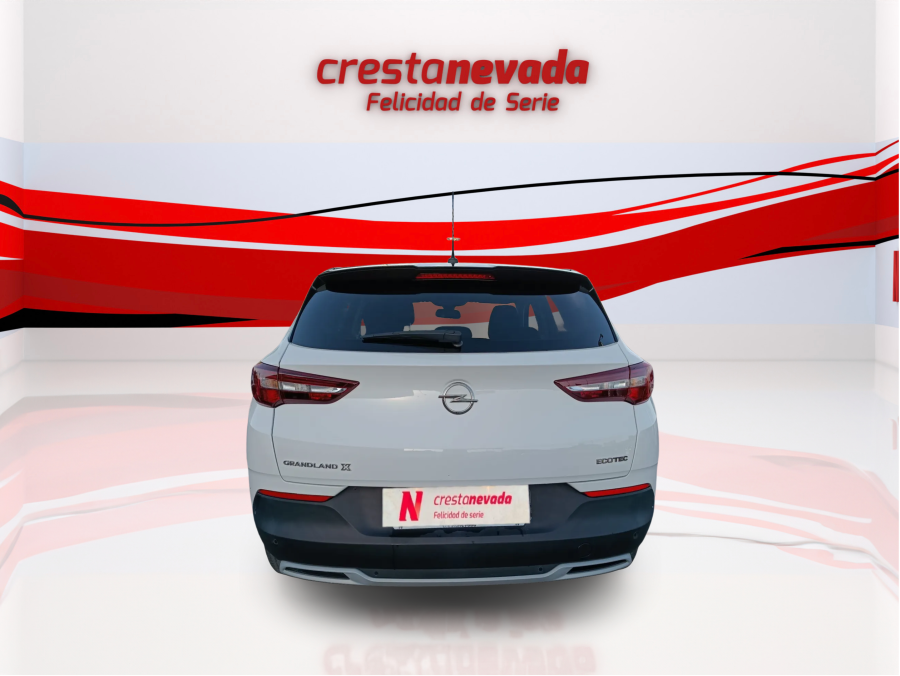Imagen de Opel Grandland X