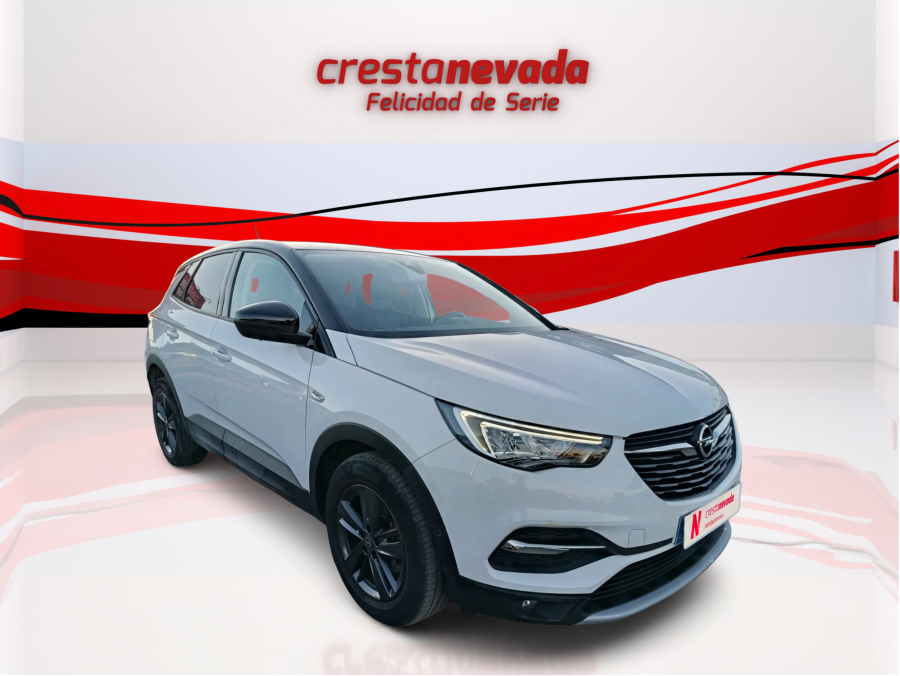 Imagen de Opel Grandland X