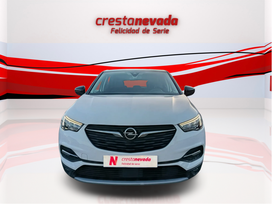 Imagen de Opel Grandland X