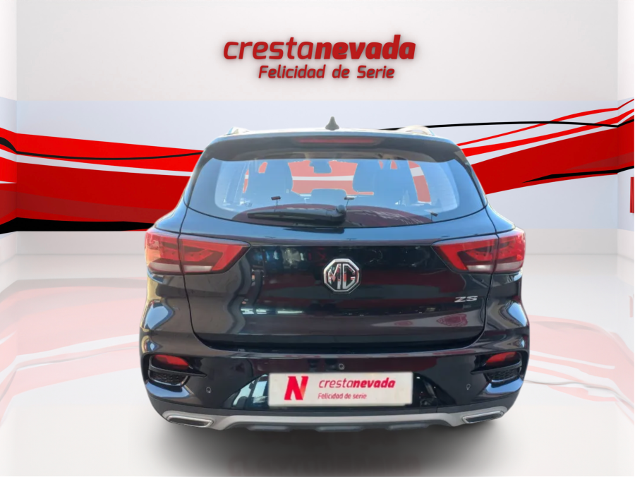 Imagen de Mg ZS