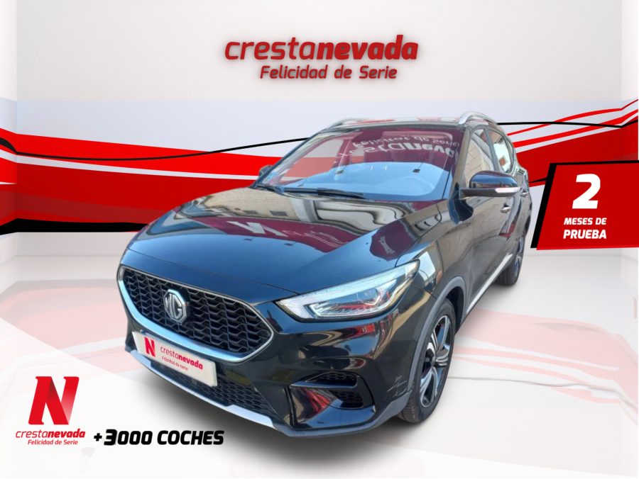Imagen de Mg ZS