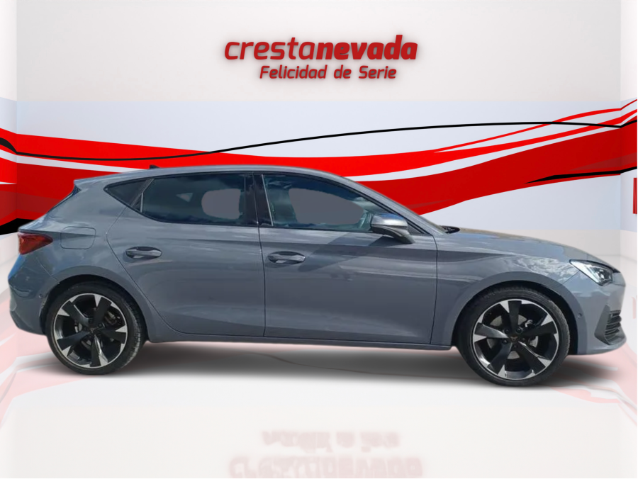 Imagen de cupra León