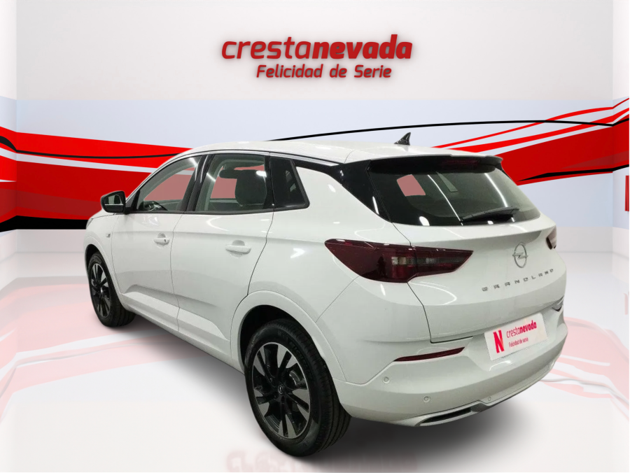 Imagen de Opel Grandland