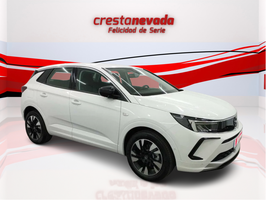Imagen de Opel Grandland