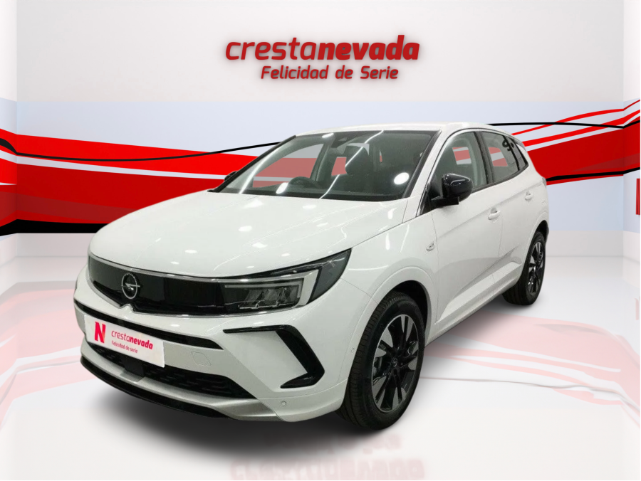 Imagen de Opel Grandland