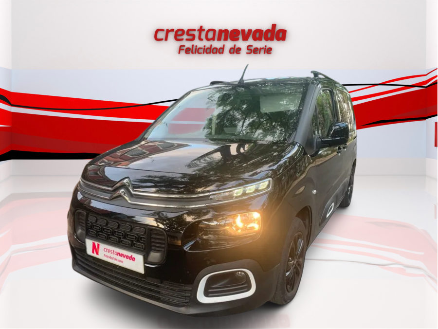Imagen de CITROEN Berlingo