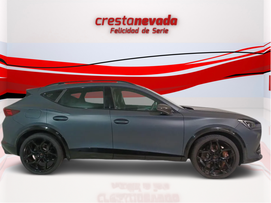 Imagen de cupra Formentor