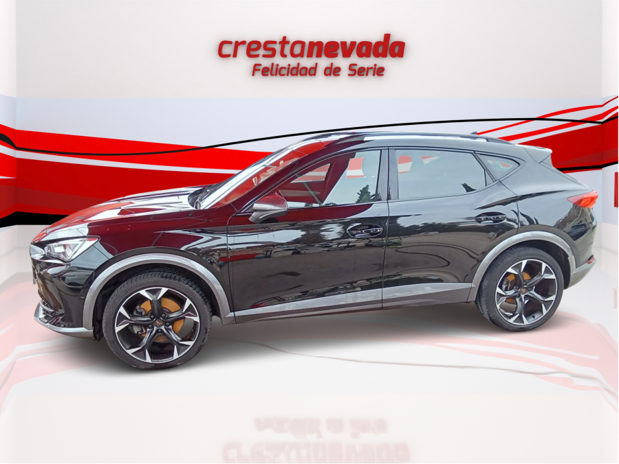 Imagen de cupra Formentor