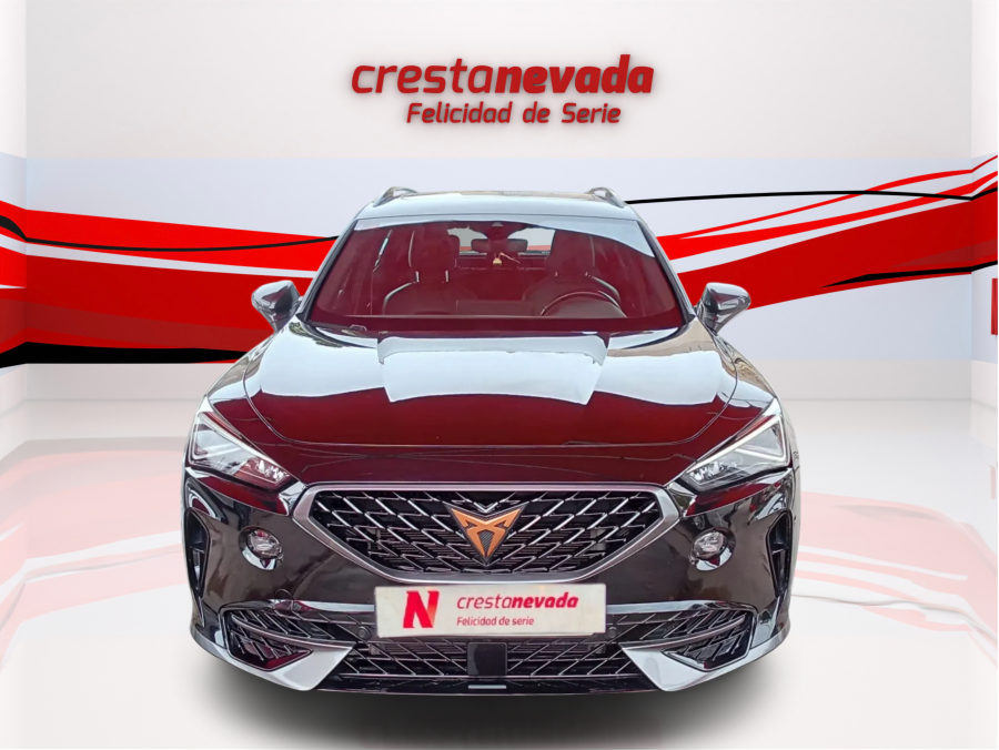 Imagen de cupra Formentor